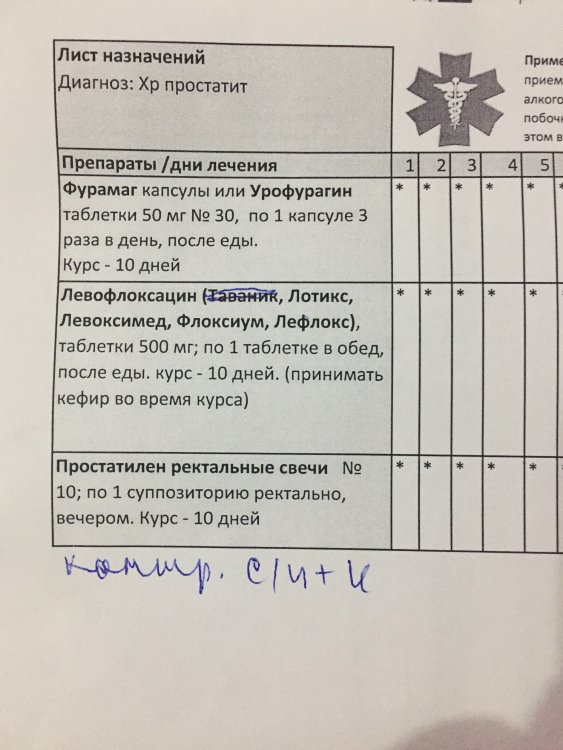 D33C12FF-83C4-4DE9-B1D4-DF2334973479.jpeg